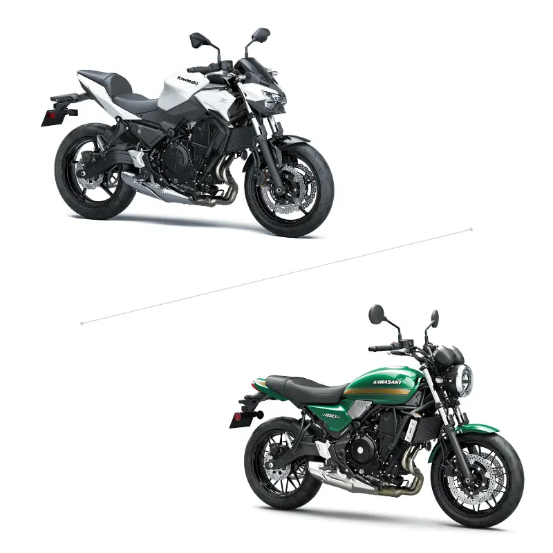 Kawasaki Z650 / Z650RS